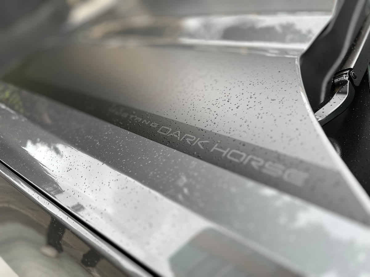 Ford Mustang Dark Horse Modelo 2025