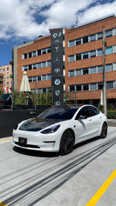 Tesla Model 3 Modelo 2021