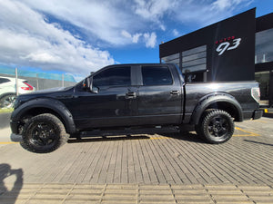 Ford F-150 Modelo 2010