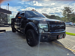Ford F-150 Modelo 2010