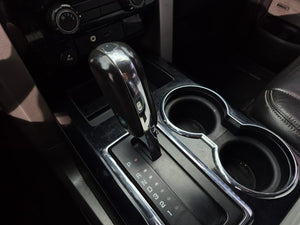 Ford F-150 Modelo 2010